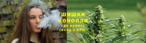 дживик Медвежьегорск