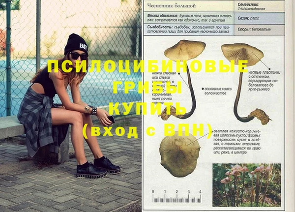mdma Медногорск