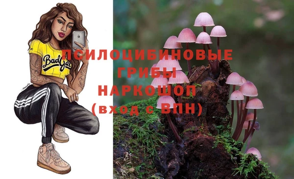 дживик Медвежьегорск