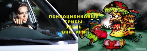стафф Мегион